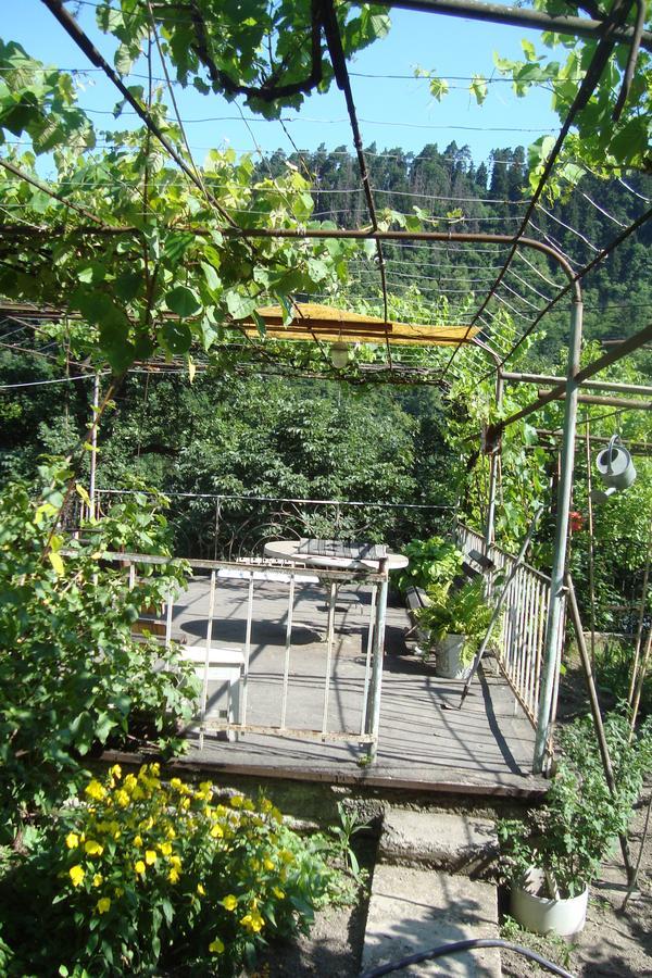 Guesthouse Valeria Borjomi Eksteriør bilde