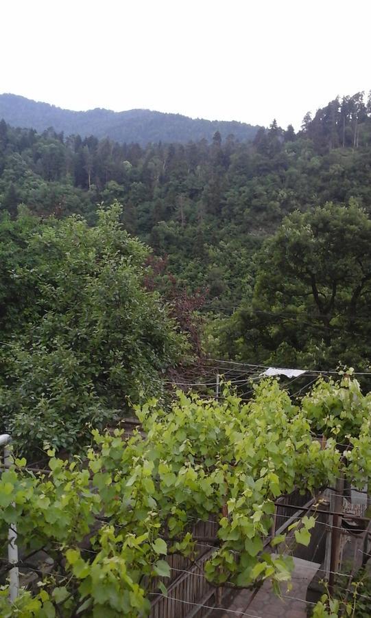 Guesthouse Valeria Borjomi Eksteriør bilde