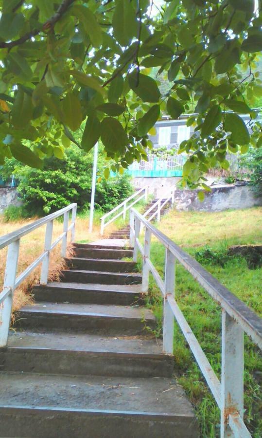 Guesthouse Valeria Borjomi Eksteriør bilde